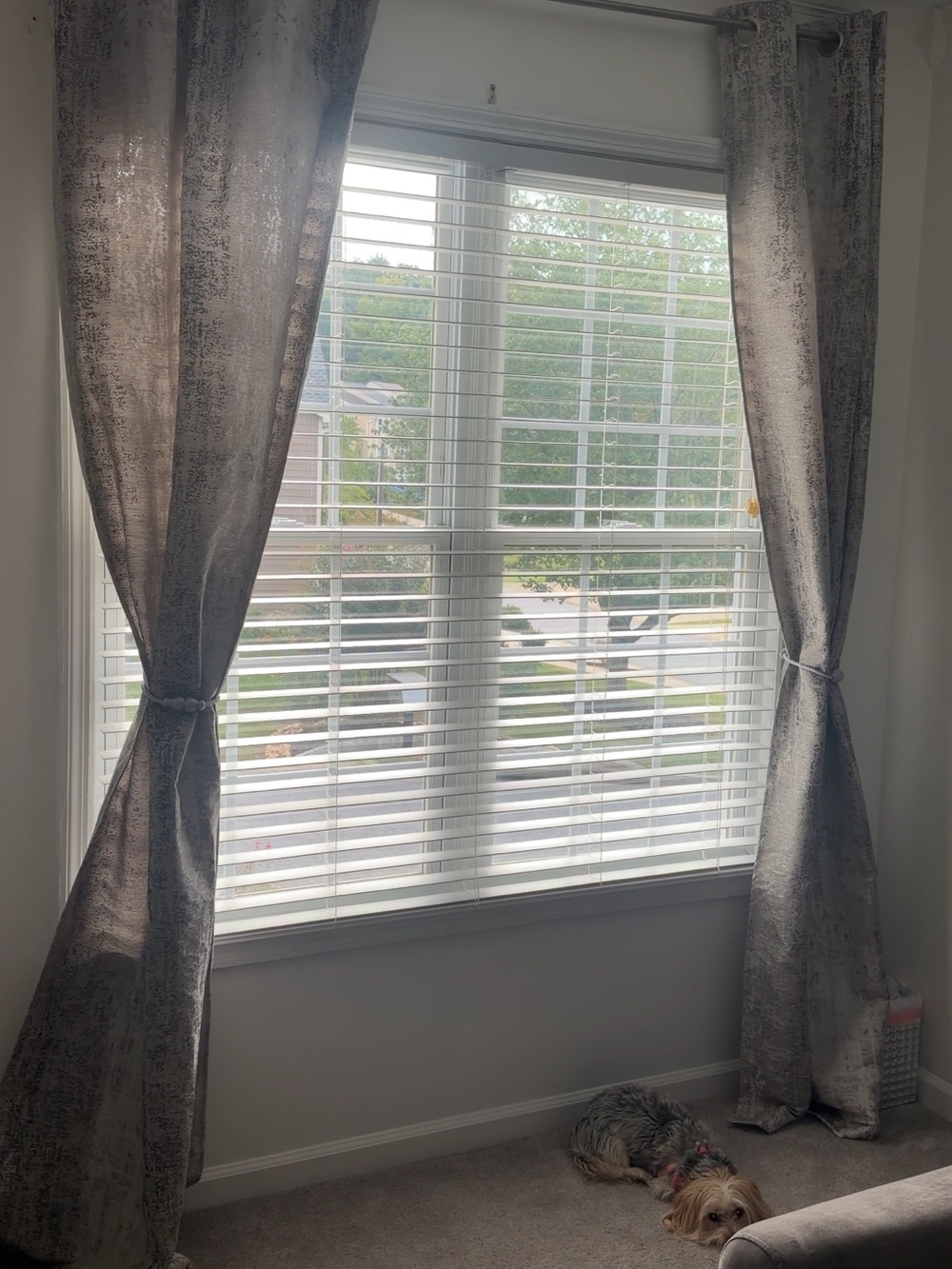Elegant Silver-Tone Window Curtains -